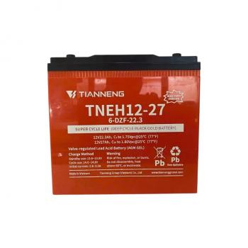 Ắc quy TIANNENG TNEH12-27 12V 22.3AH 