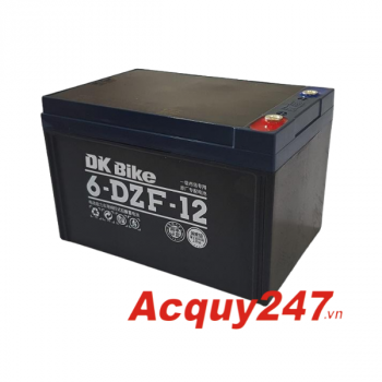 Bộ ắc quy xe điện DK bike 48V-12Ah (6-DZF-12)