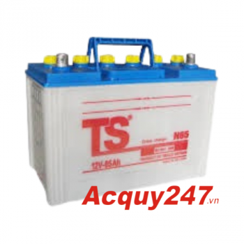 Ắc quy TS 45Ah N40